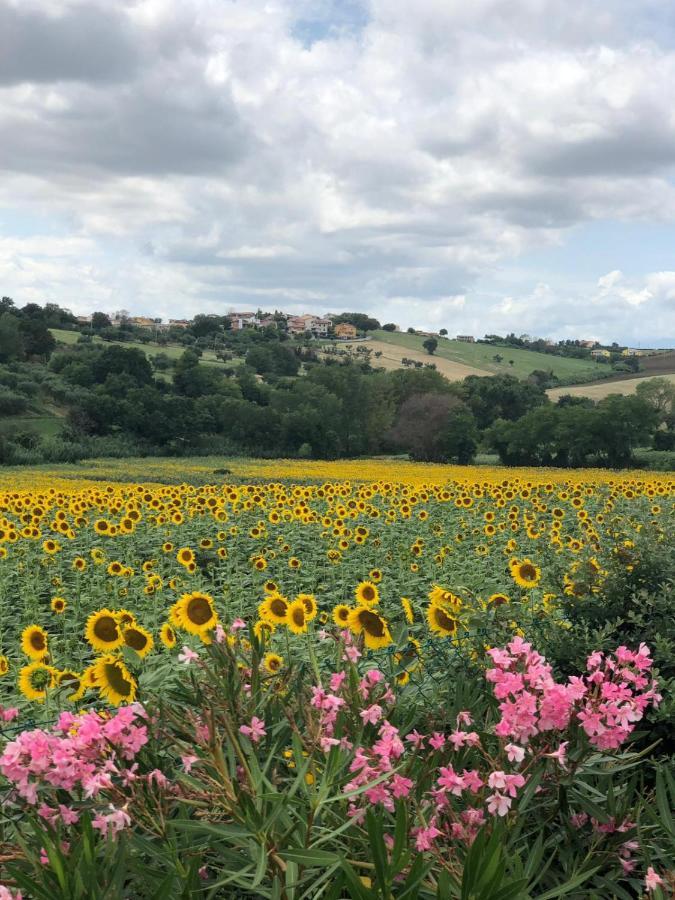 Fontebella Bed & Breakfast Montemarciano Exterior foto