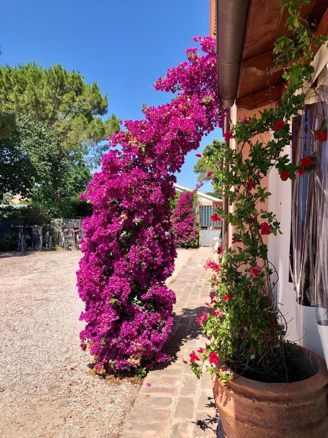 Fontebella Bed & Breakfast Montemarciano Exterior foto