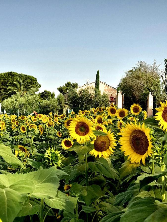 Fontebella Bed & Breakfast Montemarciano Exterior foto