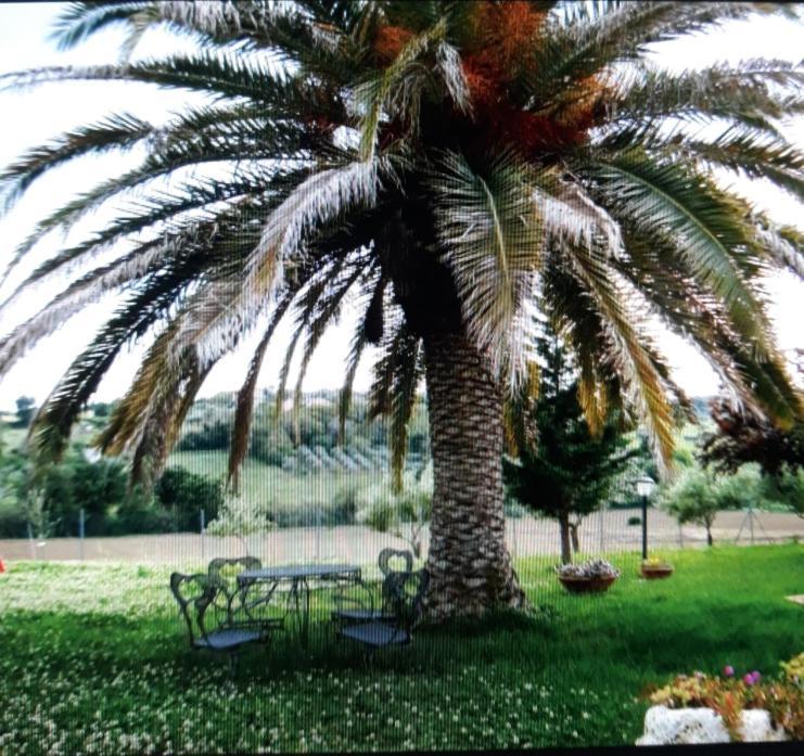 Fontebella Bed & Breakfast Montemarciano Exterior foto