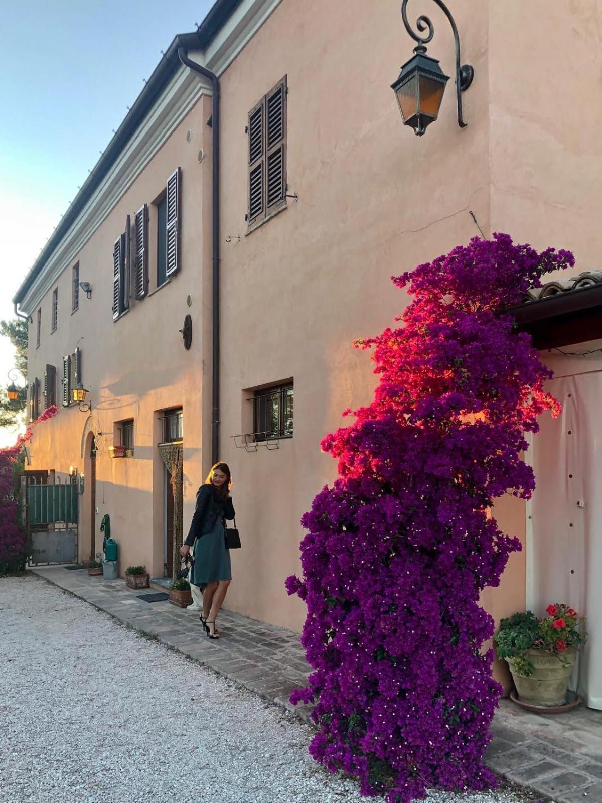 Fontebella Bed & Breakfast Montemarciano Exterior foto
