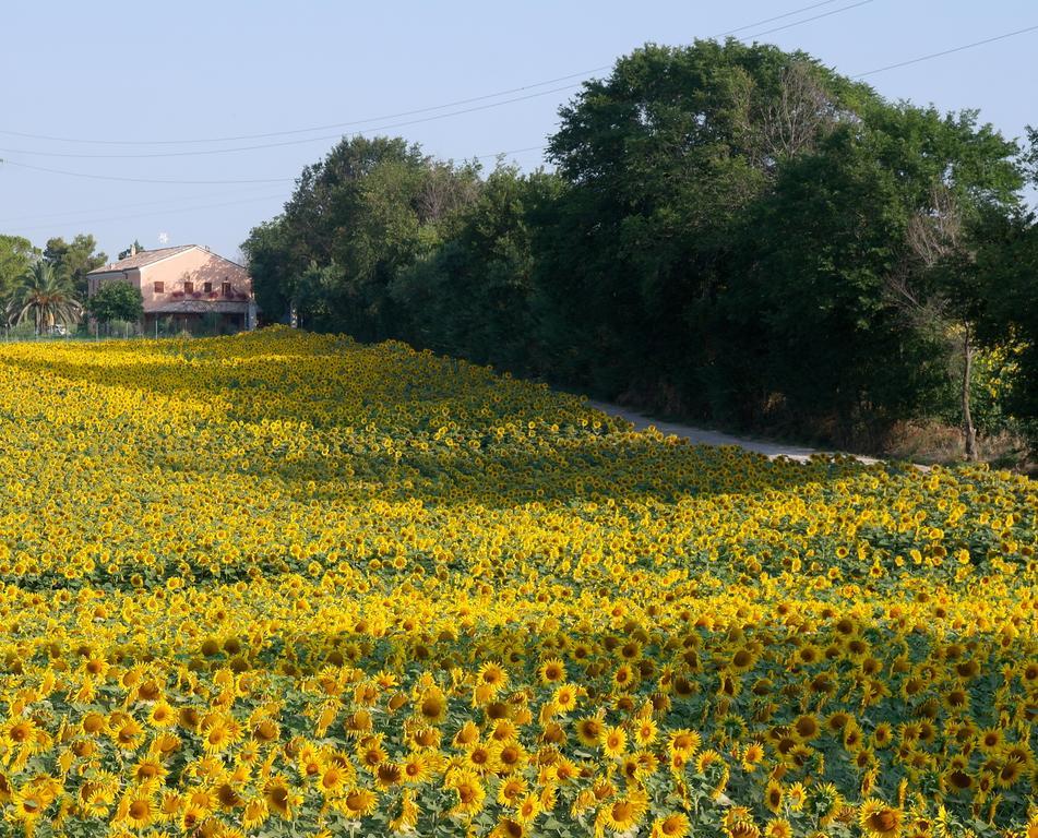 Fontebella Bed & Breakfast Montemarciano Exterior foto